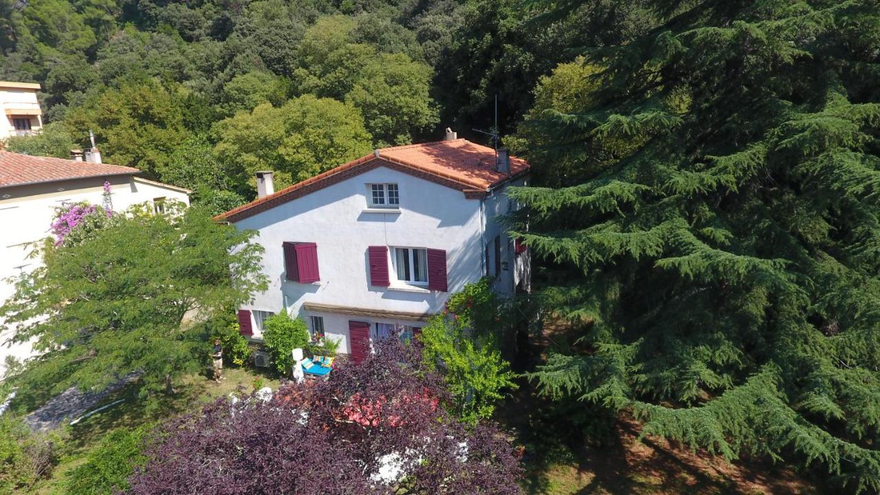 Villa Riviera Chambres Privees Амелі-ле-Бен-Палальда Екстер'єр фото